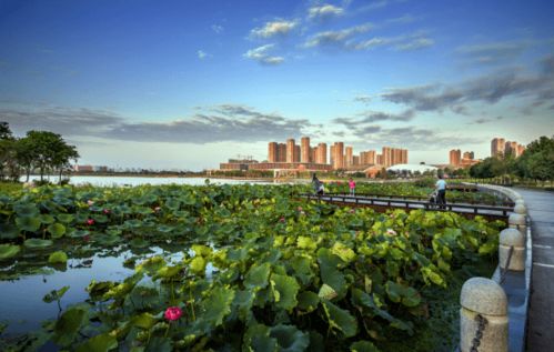 老侨喜看南京环保成就 两会推动城市绿色发展